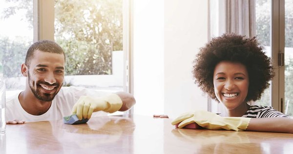 Comment la domestication a-t-elle influencé la physiologie des animaux de compagnie?