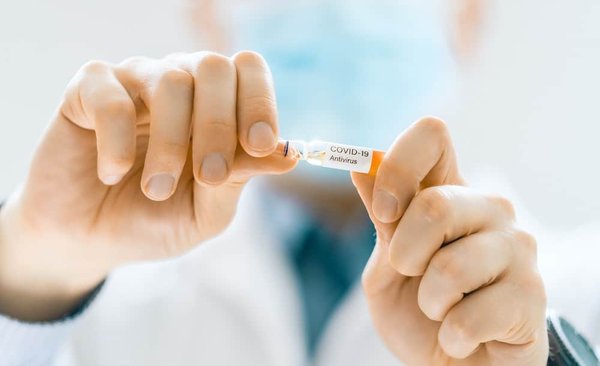 Comment prévenir l'apparition de la cataracte chez un chat de race Chartreux âgé?